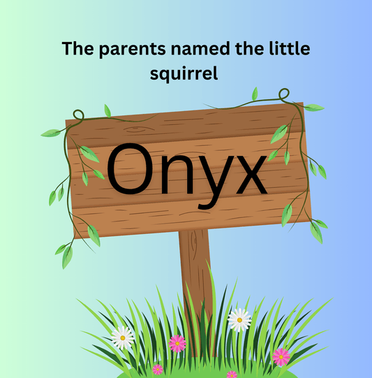 A Squirrel Finds Its Own Way To Glide - Stories Without Labels